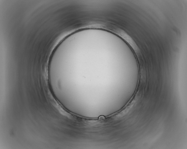 X0000112051436200908250948