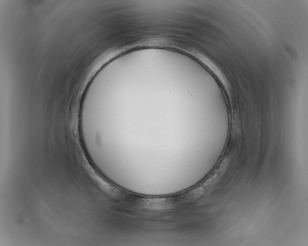 X0000112051437200908250948