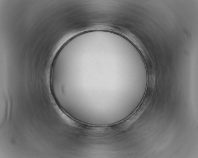 X0000112051438200908250948