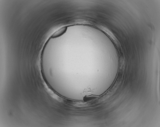 X0000112051439200908250948