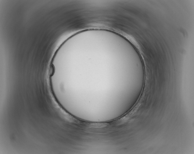 X0000112051440200908250948