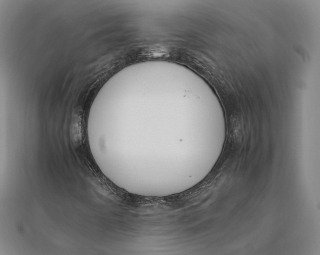 X0000112051442200908250948