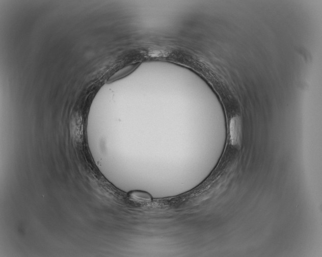 X0000112051443200908250948