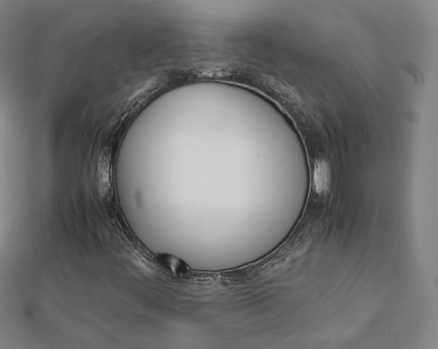 X0000112051444200908250948