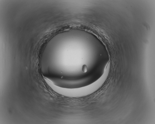 X0000112051445200908250948