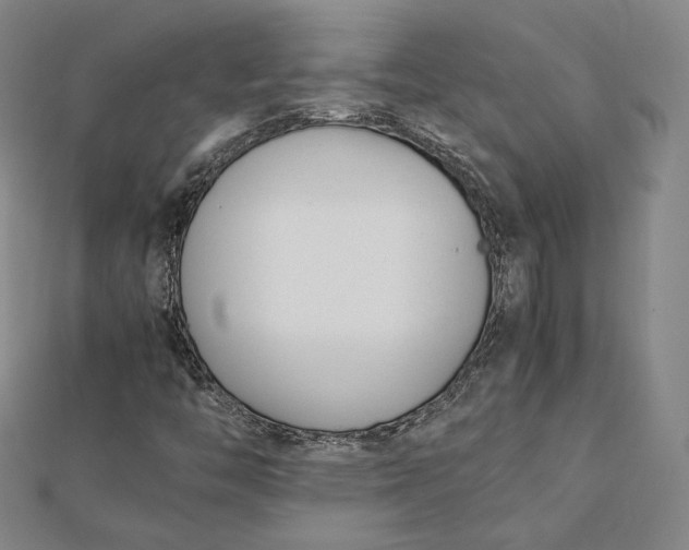 X0000112051446200908250948