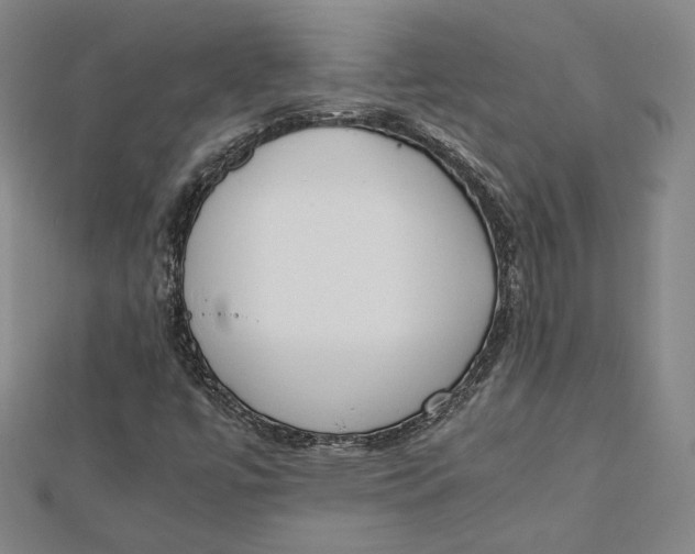 X0000112051447200908250948