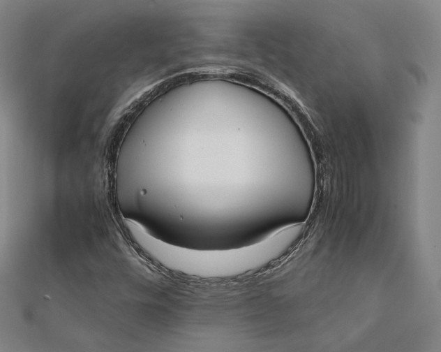 X0000112051448200908250948