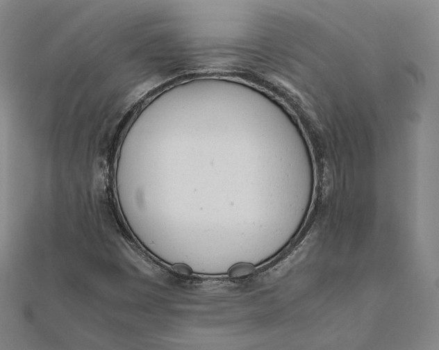 X0000112051449200908250948