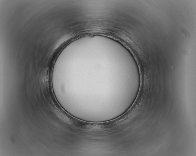 X0000112051450200908250948