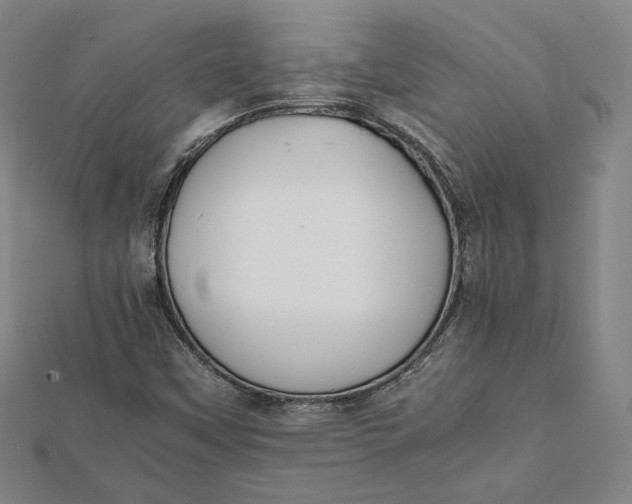 X0000112051451200908250948