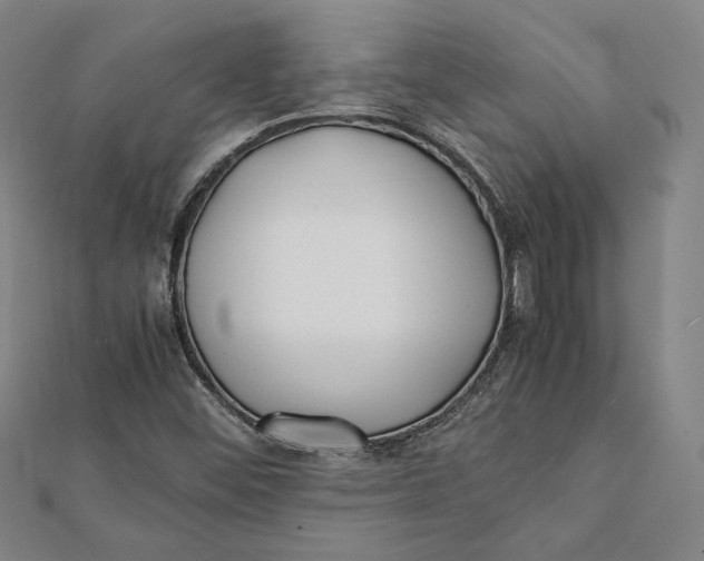 X0000112051452200908250948