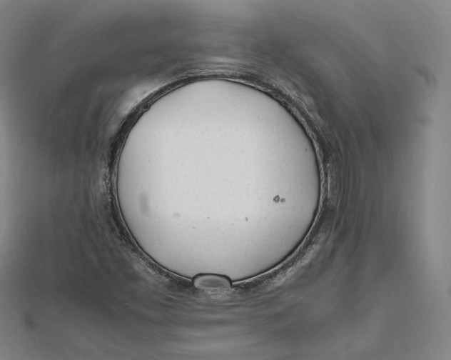 X0000112051453200908250947