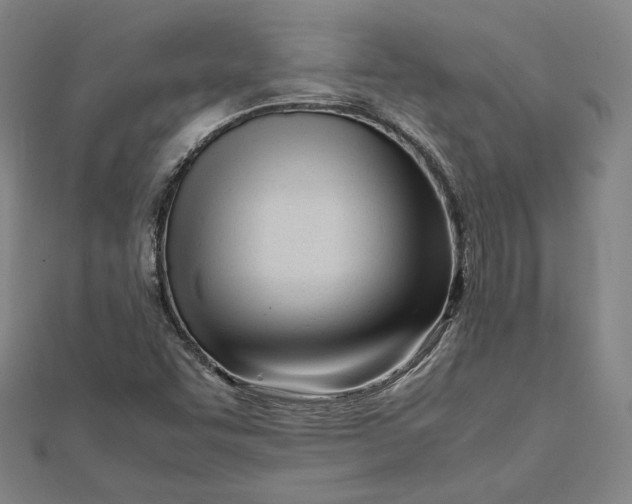 X0000112051455200908250947