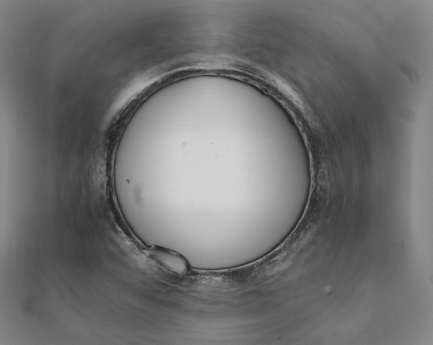 X0000112051456200908250947