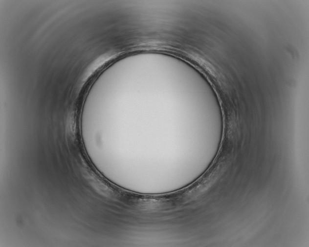 X0000112051458200908250947