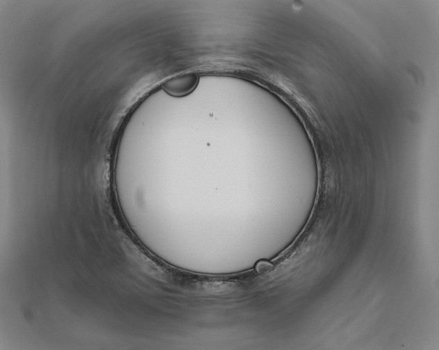 X0000112051459200908250947