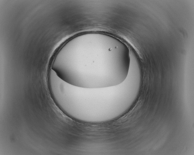 X0000112051460200908250947