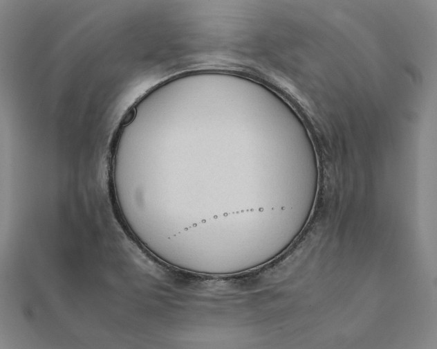 X0000112051463200908250947