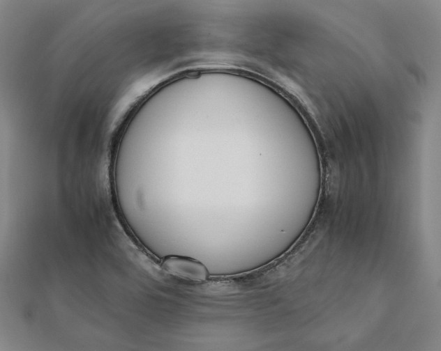 X0000112051464200908250947