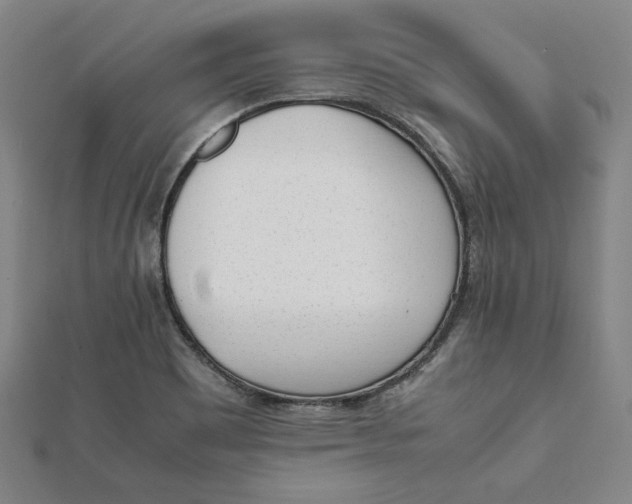 X0000112051465200908250947