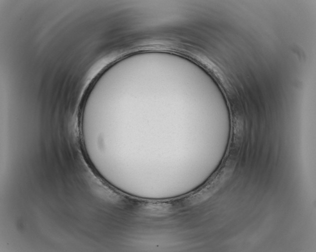 X0000112051466200908250947