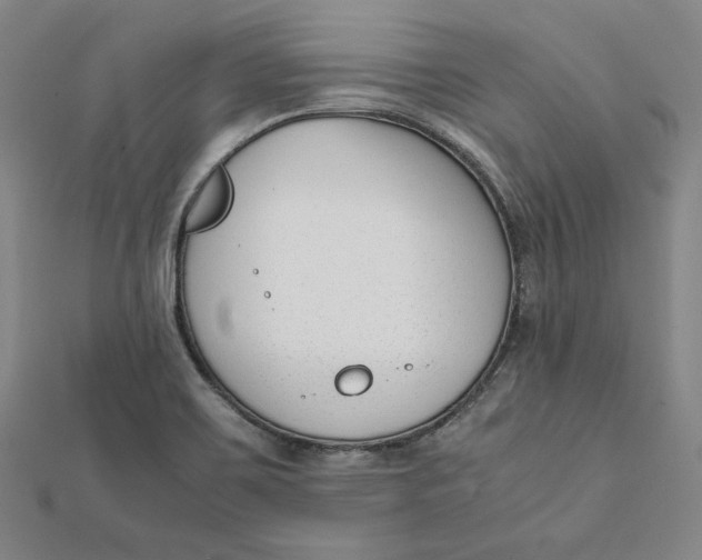 X0000112051467200908250947