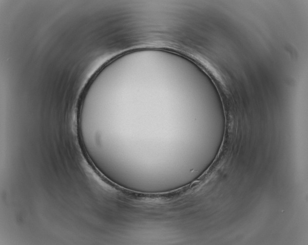 X0000112051468200908250947