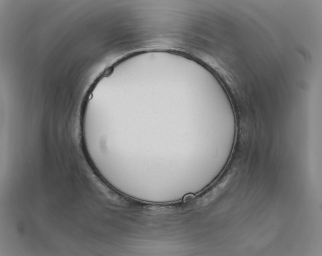 X0000112051469200908250947