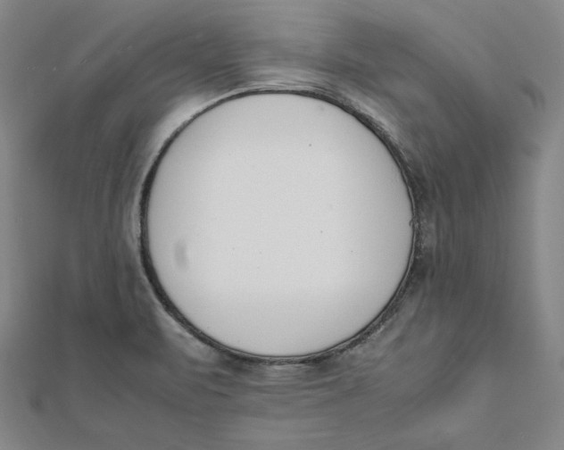 X0000112051471200908250947