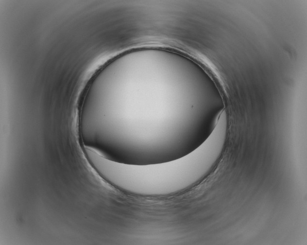 X0000112051472200908250947