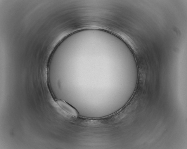 X0000112051476200908250947