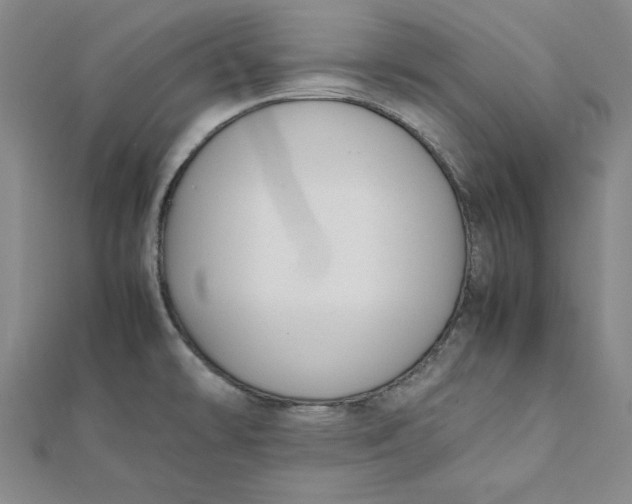 X0000112051478200908250947