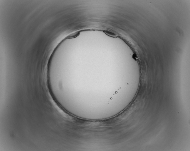 X0000112051479200908250947