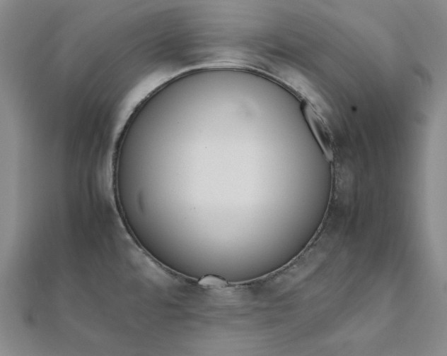 X0000112051480200908250947