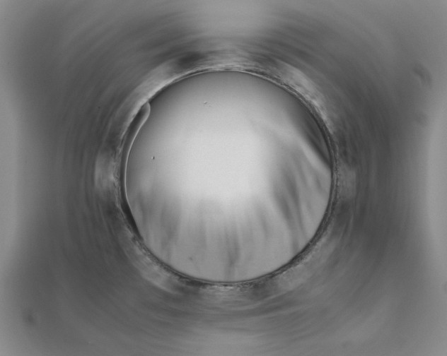 X0000112051481200908250947