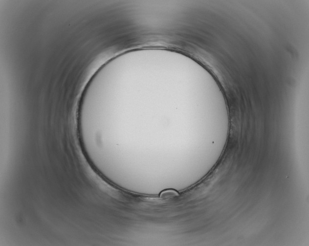 X0000112051483200908250947