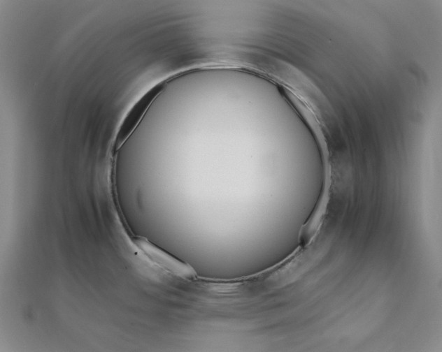 X0000112051484200908250947