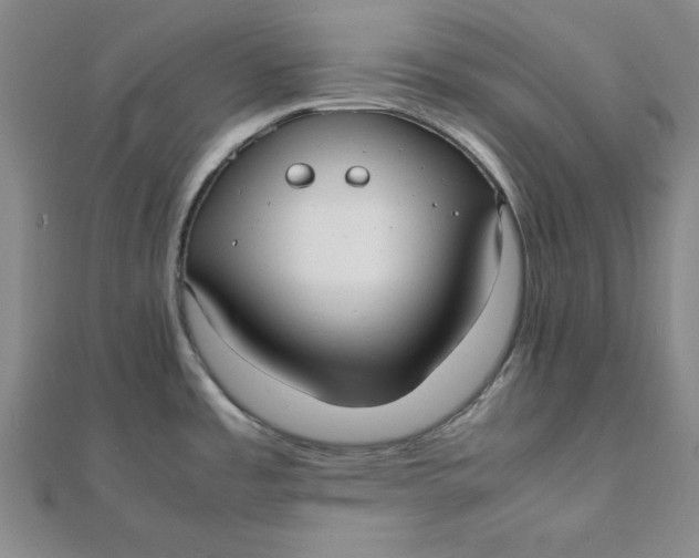 X0000112051485200908250947