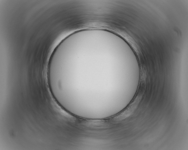 X0000112051486200908250947