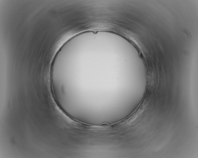 X0000112051487200908250947