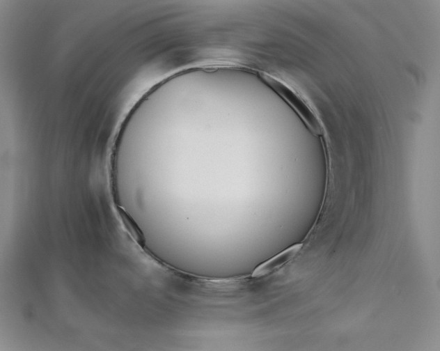 X0000112051488200908250947