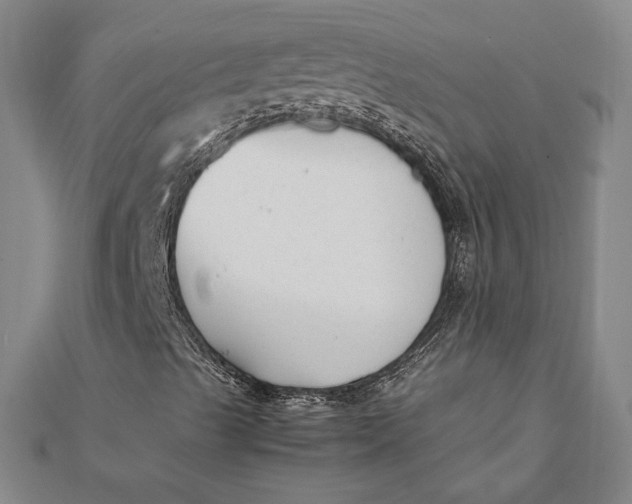 X0000112051489200908250946