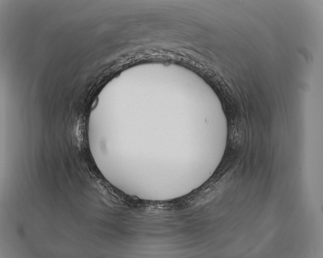 X0000112051490200908250946