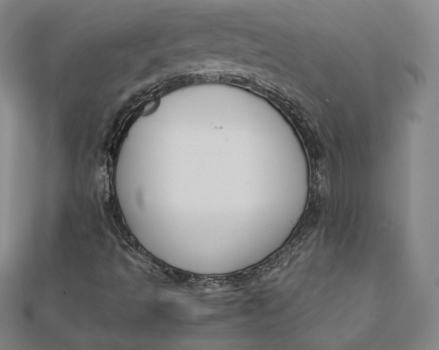 X0000112051493200908250946