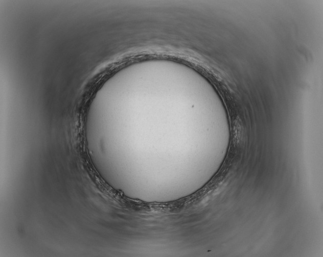 X0000112051494200908250946