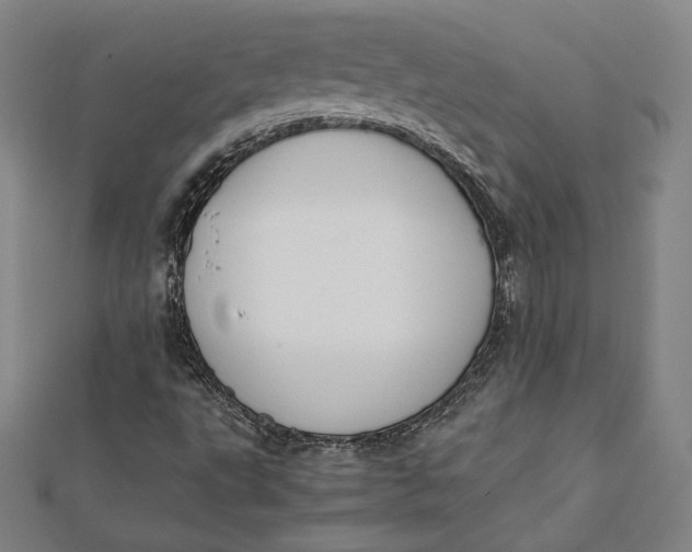 X0000112051495200908250946