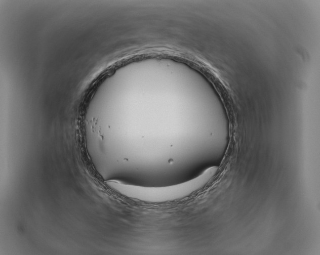 X0000112051496200908250946