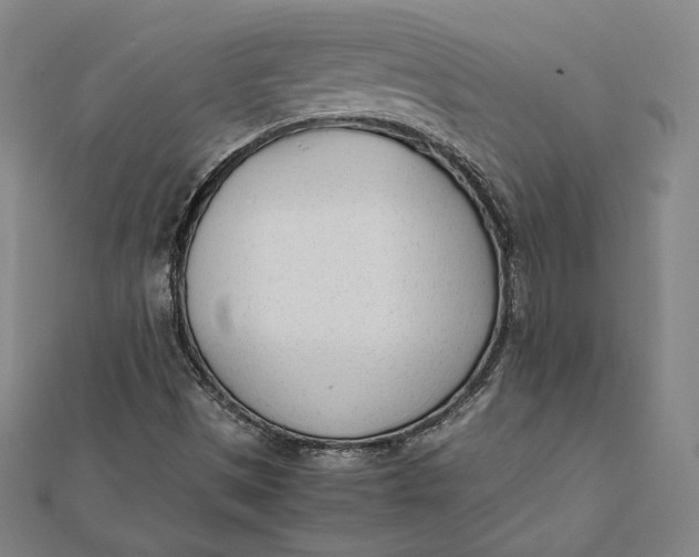 X0000112051497200908250946