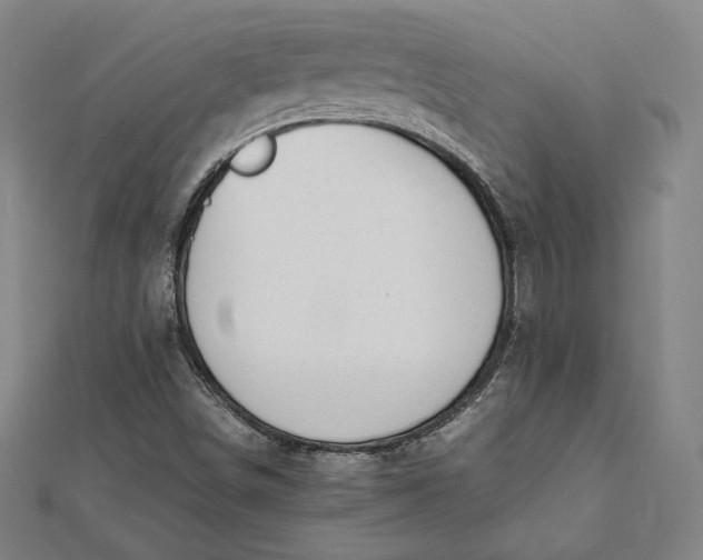 X0000112051498200908250946